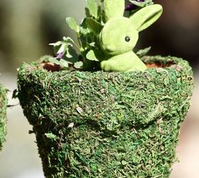 spring moss covered pots, container gardening, crafts, gardening