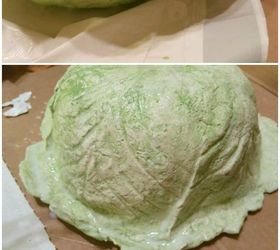 cabbage centerpiece, container gardening, crafts, flowers, how to