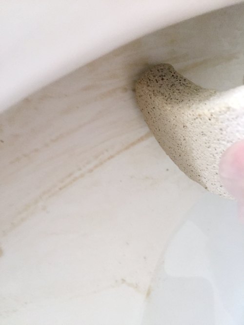 Removing Nasty Toilet Stains Hometalk
