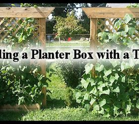 Building a Planter Box With a Trellis | Hometalk