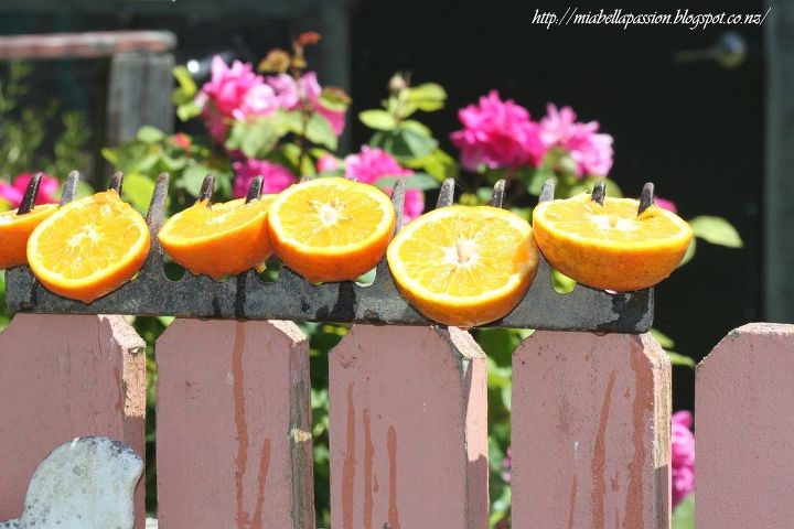 rake head bird or butterfly feeder , animals, gardening, how to, pets animals, repurposing upcycling