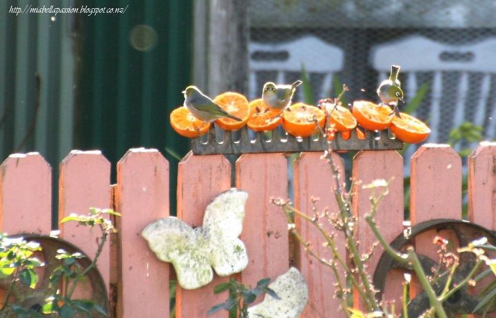 rake head bird or butterfly feeder , animals, gardening, how to, pets animals, repurposing upcycling