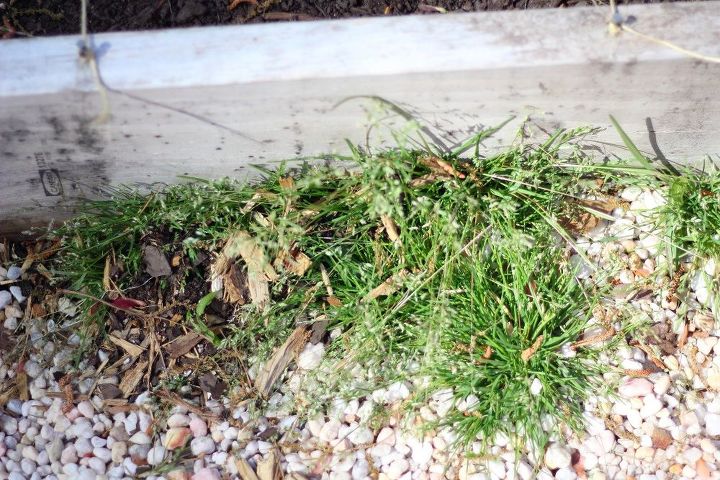 Can You Spray Weed Killer In Flower Beds Can You Spray Weed Killer In Flower Beds