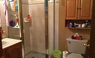 Easiest Bathroom Makeover From Tame To Toile In 2 5hrs