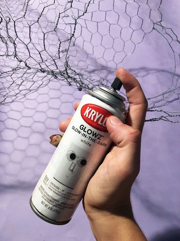 Spray Paint Chicken Wire Spray Paint Chicken Wire