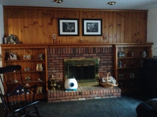 How an I update this knotty pine wall without painting it