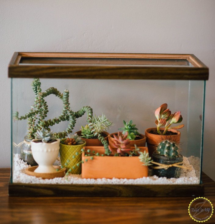 Decor Aquarium Desert Decor Aquarium Desert