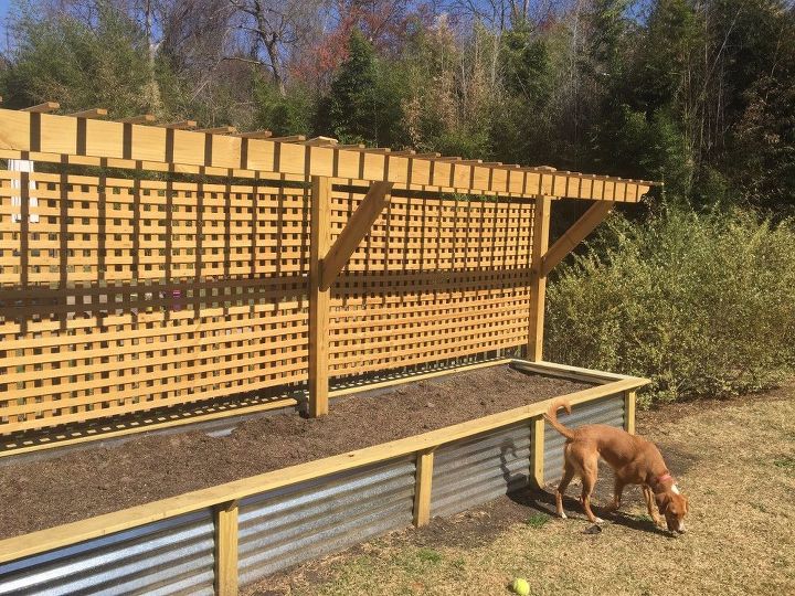 Raised Bed and Trellis | Hometalk