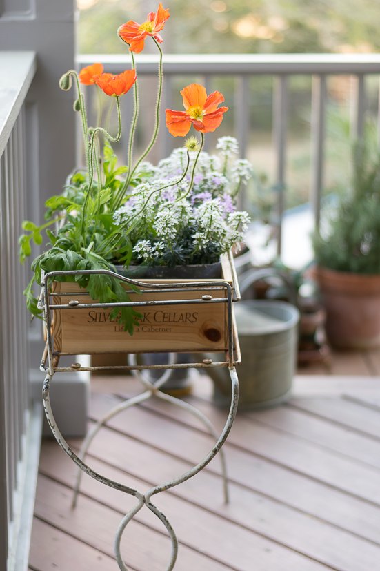 Wine Crate Planter Box Hometalk wine-crate-planter-box-hometalk