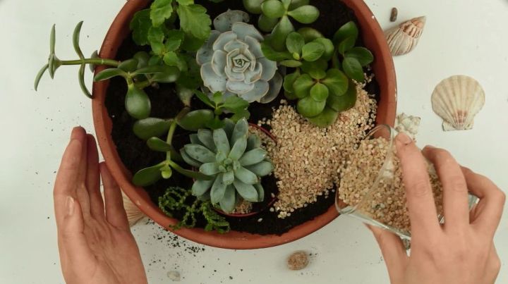How to Make a Miniature Succulent Garden | Hometalk