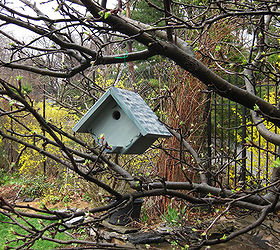 placing birdhouses in the garden, flowers, gardening, Keeping some birdhouses directly out of the garden and in a more natural setting adds to the charm along with helping birds to feel more secluded and safe