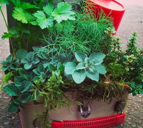 garden junk man style, container gardening, gardening, repurposing upcycling, succulents, Herb Planter in a vintage lunch box