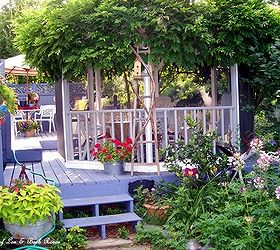 spring blooms, gardening, Wisteria leafed out in summer trained around the top of the gazebo