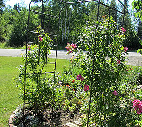 using salvaged brick in the flower border, flowers, gardening, repurposing upcycling