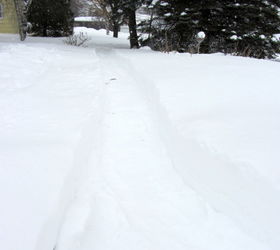 itching4spring, outdoor living, My dogs outdoor potty path