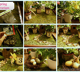 hoping a mini greenhouse inspires a green thumb, gardening, terrarium