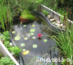 build a pond in a box, outdoor living, ponds water features, When the pond is ready first add water wait a few days then add water plants and a few weeks later it s ready for fish See my blog for more details