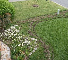front yard makeover, gardening, landscape, Laying out the plan you can see here there was nothing along the property line before