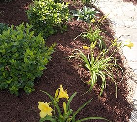 front yard makeover, gardening, landscape, Going towards the back