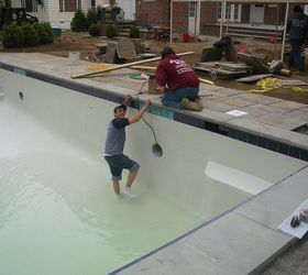 pool location too close for comfort with trd, hydrangea, landscape, outdoor living, pool designs, Personalize your pool with cool tiles found on the internet
