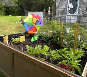 garden box or coffin, flowers, gardening, raised garden beds, repurposing upcycling, April 2013 the heat is finally on and the plants are lovin it