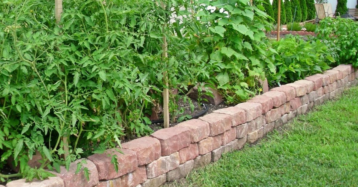 Building a raised garden bed for our vegetables! | Hometalk