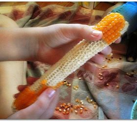 Popcorn From a Dried Ear of Farm Grown Popcorn Hometalk