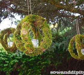 garden junk man style, container gardening, gardening, repurposing upcycling, succulents, Moss orb chandelier
