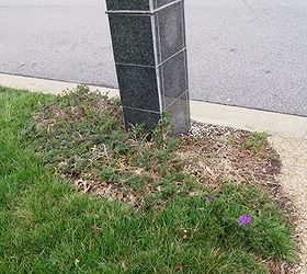 front yard makeover, gardening, landscape, Help This is our mailbox before