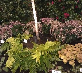 pics from 2013 southeastern flower show in atlanta, flowers, gardening, Interesting layering