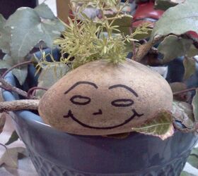 of children curiosity and creating a new generation of earth stewards, flowers, gardening, My pet rock