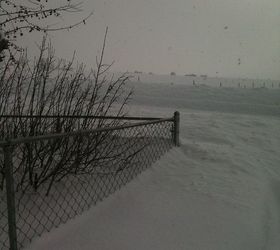 Our Front Yard Pond and Other Projects | Hometalk