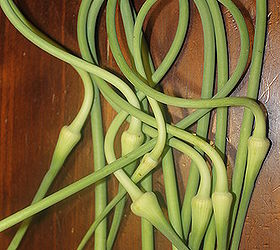 How To Grow, Cure And Store Your Own Garlic! Hometalk