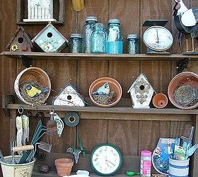 pics from my yard, gardening, outdoor living, I collect bird nests