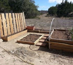 my first spring garden rennovating the landscape, flowers, gardening, pallet, back smaller bed I m trying the three sisters I know it s small but I m trying it anyway Corn green beens and squash