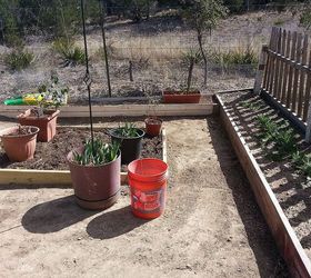 my first spring garden rennovating the landscape, flowers, gardening, pallet, I just added this first smaller bed it is designated for tomatoes peppers and herbs