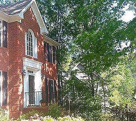 feeling a little melancholy watching trees come down, gardening, BEFORE These Bradford Pears are next