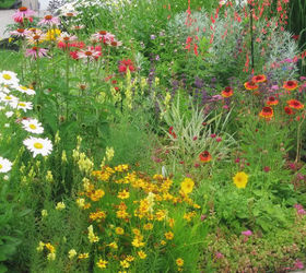 little city garden before and afters, flowers, gardening, perennials, ponds water features, raised garden beds, urban living, Year 4 I cannot resist flowering perennials Hidden amongst them are all sorts of vegetables berries and a few dwarf fruit trees