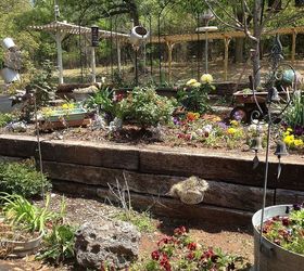 getting my terrace planted and flowers in old pots, flowers, gardening, terrace photo 1