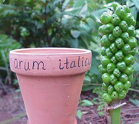 plant labels, cleaning tips, gardening, pot label