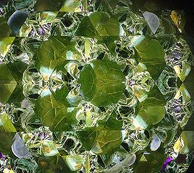 rocky mountain waterscape s garden kaleidoscope, flowers, gardening, Looking down the Kaleidoscope