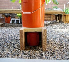 growing in containers, container gardening, gardening