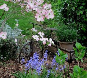 happy mother s day garden tour, gardening, Dogwood Bluebells and Columbine