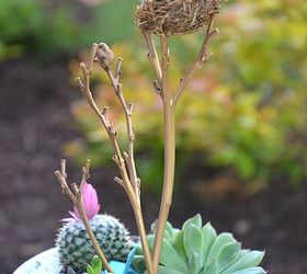 the perfect mother s day gift a strawberry pot succulent planter, crafts, flowers, gardening, succulents, Accents like the tree painted branch bird nest the aquarium rocks polymer clay benches add interst and whimsy