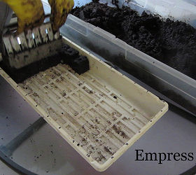 using a soil blocking tool for easy seed starting, container gardening, gardening, tools, The soil blocking tool is pressed into the seed starting mix and then the blocks are released onto a tray