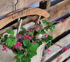 the hometalk meetup that loved on junk and africa, gardening, My part was to host a demo table talking about junk in the garden Here is a sample I threw together with a burlap sandbag