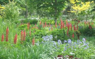 Re-landscaping to Shrubs and Perennials | Hometalk