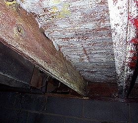 a new mold project my crew and i will be working on the next six weeks, cleaning tips, home maintenance repairs, how to, wall decor