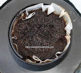 using coffee grounds as a medium and how to take cuttings, gardening