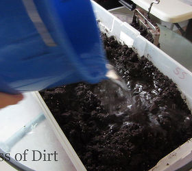 using a soil blocking tool for easy seed starting, container gardening, gardening, tools, First the seed starting mix is moistened with water